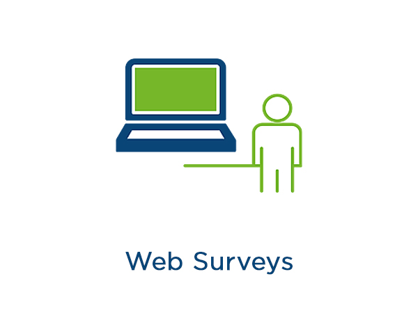 Web Survey